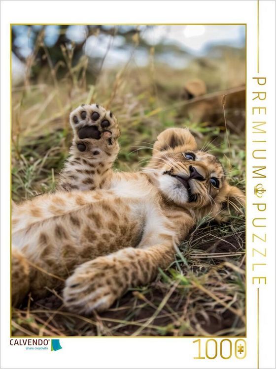 Produktbild: CALVENDO Puzzle Ein Motiv aus dem Kalender Kleine Wunder der Savanne | 1000 Teile Lege-Gr&ouml;&szlig;e 64x48cm Foto-Puzzle f&uuml;r gl&uuml;ckliche Stunden