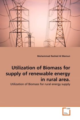 Produktbild: Al Mamun, M: Utilization of Biomass for supply of renewable