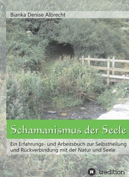 Produktbild: Schamanismus der Seele