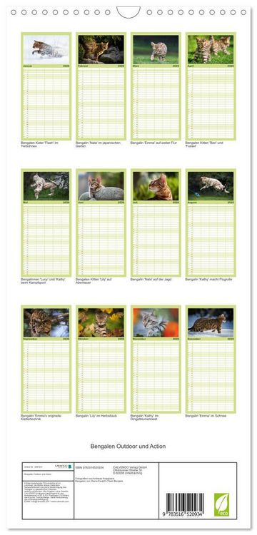 Produktbild: Familienplaner 2026 - Bengalen Outdoor und Action mit 5 Spalten (Wandkalender, 21 x 45 cm) CALVENDO