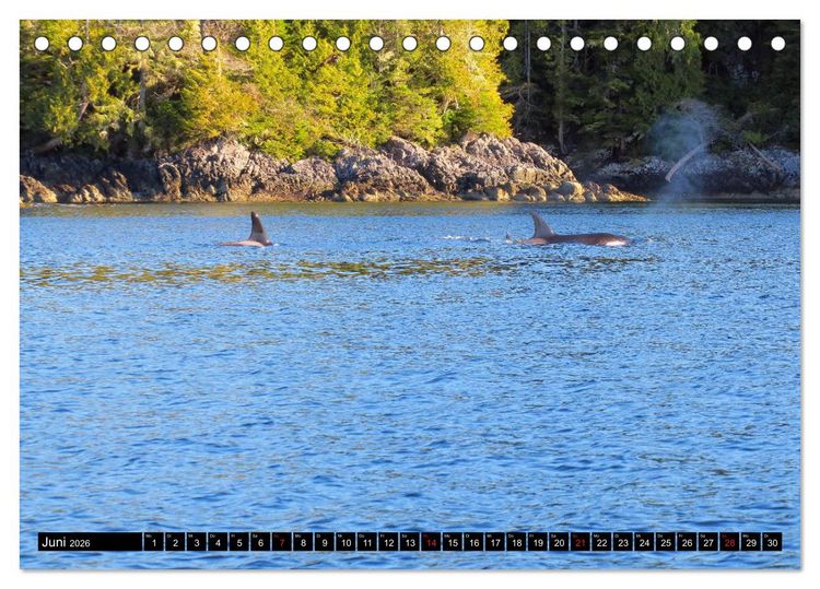 Produktbild: Vancouver - Vancouver Island - Seattle (Tischkalender 2026 DIN A5 quer), CALVENDO Monatskalender