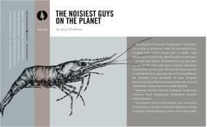 Produktbild: Noisiest Guys on the Planet