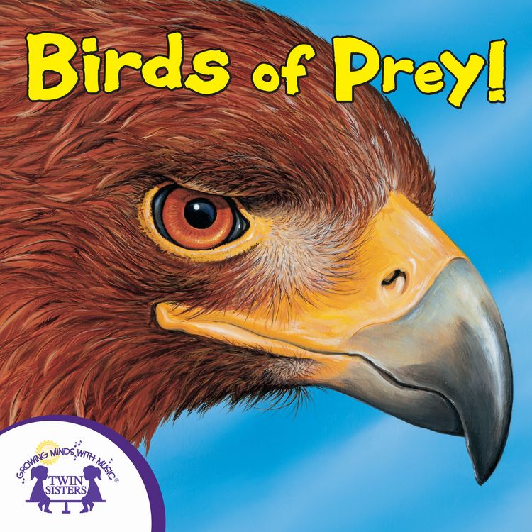 Produktbild: Know-It-Alls! Birds of Prey