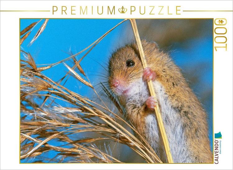 Produktbild: CALVENDO Puzzle Neugierige Zwergmaus auf einem Pflanzenstengel | 1000 Teile Lege-Gr&ouml;&szlig;e 64x48cm Foto-Puzzle f&uuml;r gl&uuml;ckliche Stunden