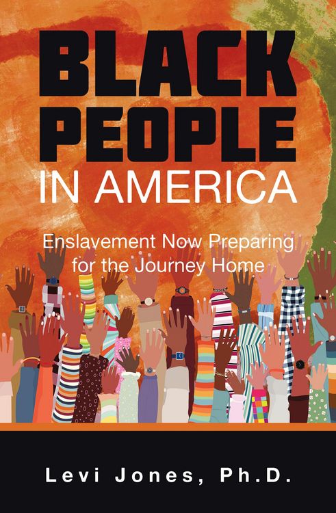 Produktbild: Black People in America