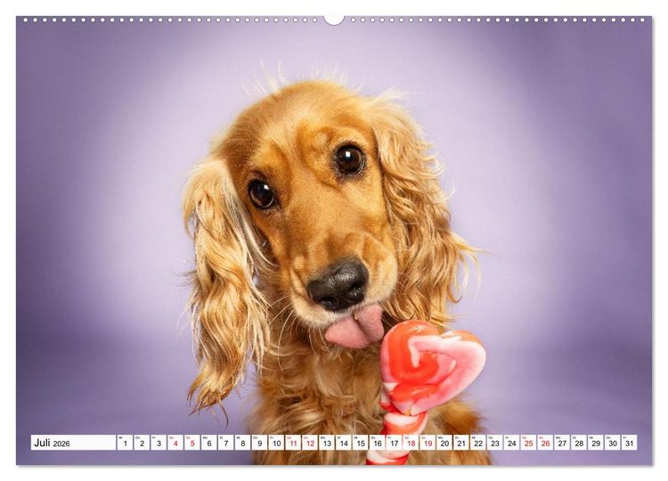 Produktbild: Hunde im Naschparadies (hochwertiger Premium Wandkalender 2026 DIN A2 quer), Kunstdruck in Hochglanz