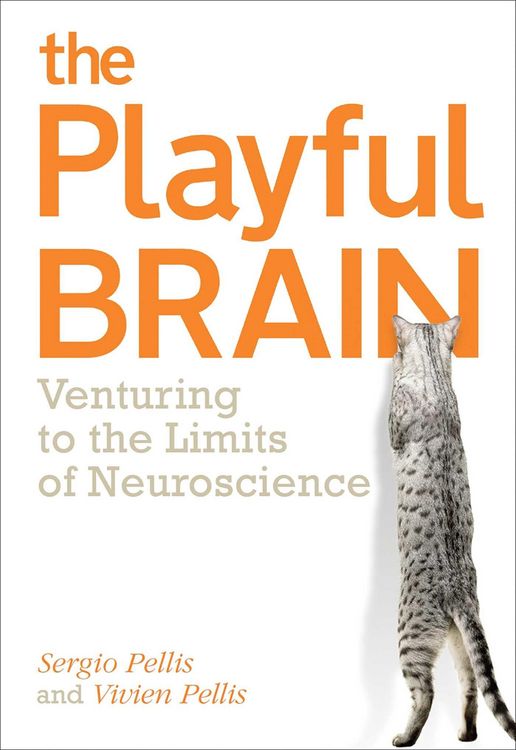 Produktbild: The Playful Brain