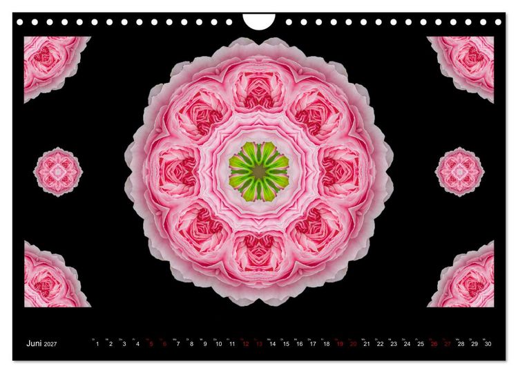 Produktbild: ROSEN MANDALAS (Wandkalender 2027 DIN A4 quer), CALVENDO Monatskalender