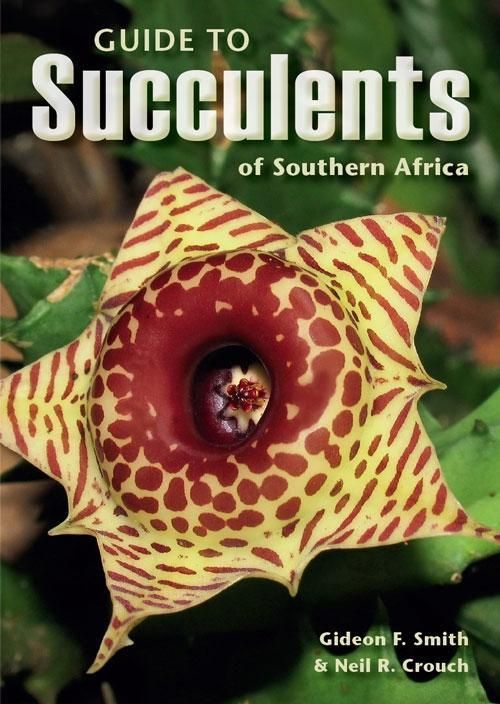 Produktbild: Guide to Succulents of Southern Africa