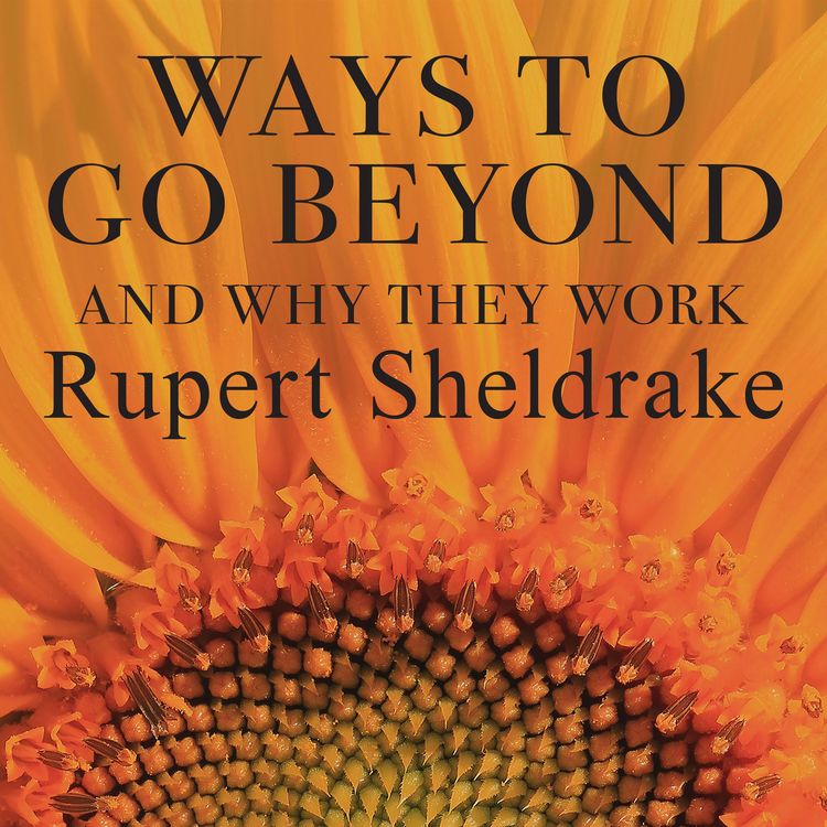 Produktbild: Ways to Go Beyond and Why They Work