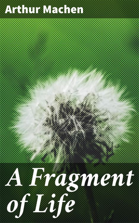 Produktbild: A Fragment of Life