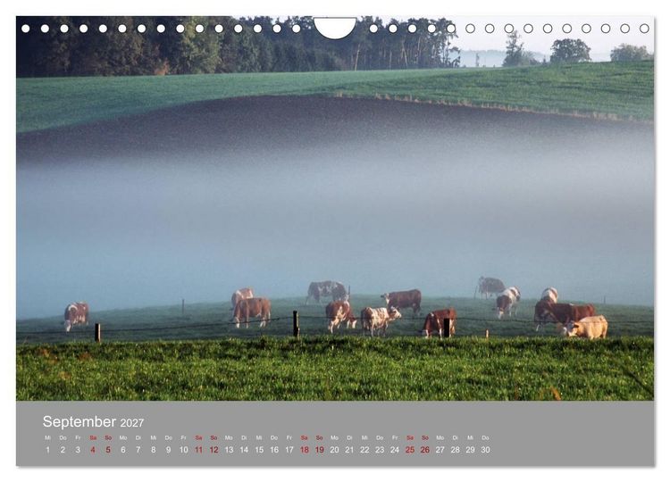 Produktbild: Hallertau (Wandkalender 2027 DIN A4 quer), CALVENDO Monatskalender