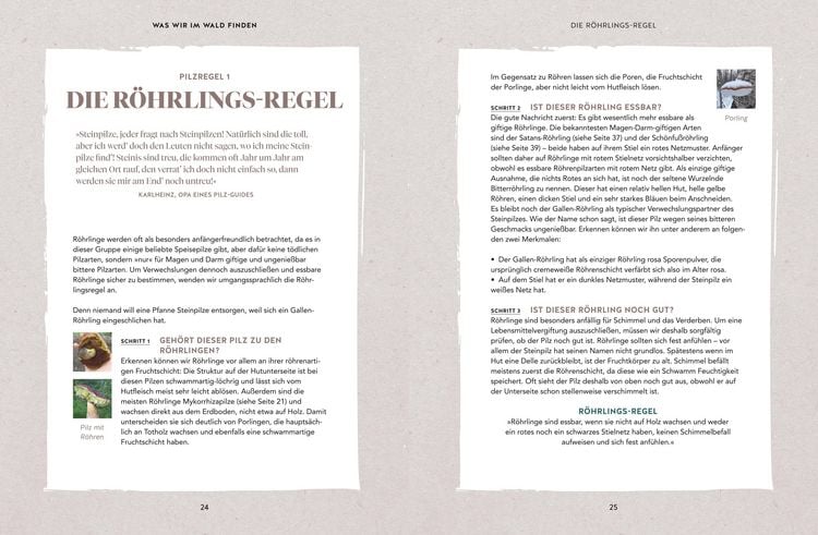 Produktbild: Abenteuer Wald