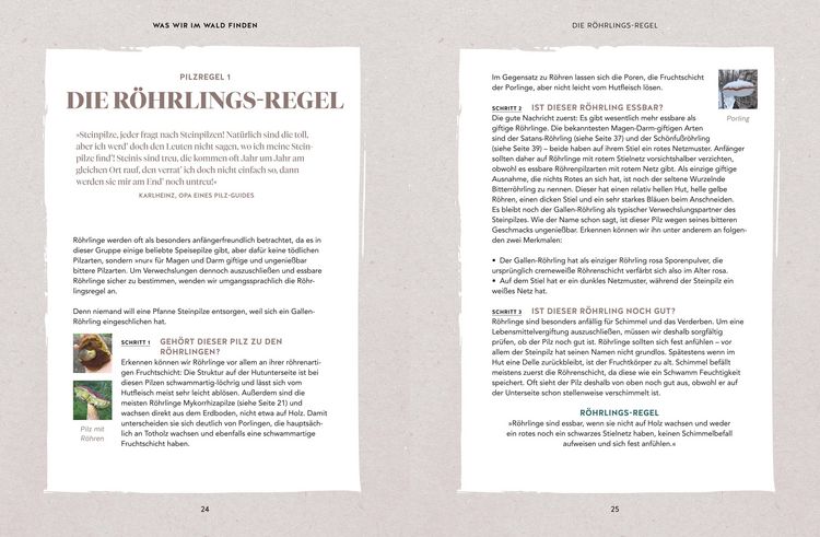 Produktbild: Abenteuer Wald