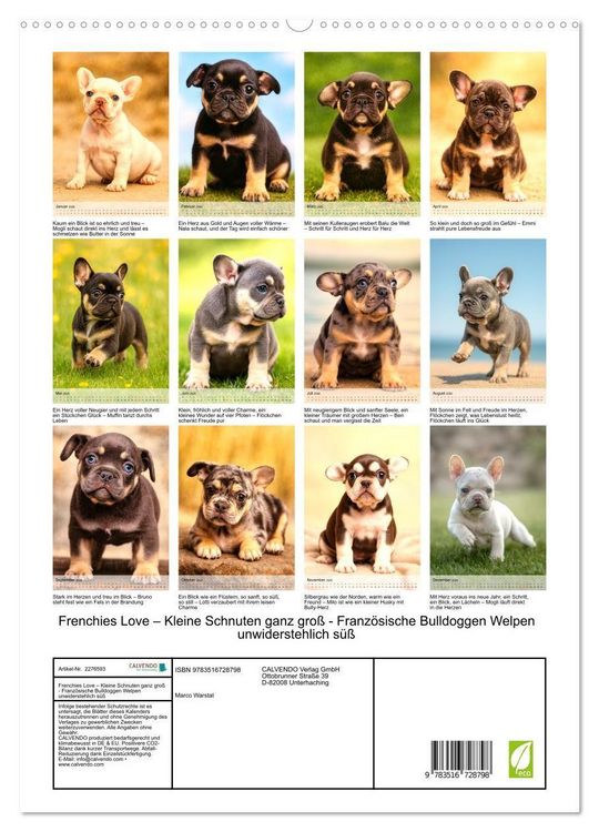 Produktbild: Frenchies Love &ndash; Kleine Schnuten ganz gro&szlig; - Franz&ouml;sische Bulldoggen Welpen unwiderstehlich s&uuml;&szlig; (hochwertiger Premium Wandkalender 2026 DIN A2 hoch), Kunstdruck in Hochglanz