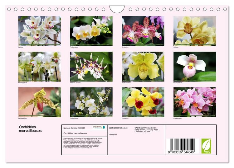 Produktbild: Orchid&eacute;es merveilleuses (Calendrier mural 2026 DIN A4 vertical), CALVENDO calendrier mensuel