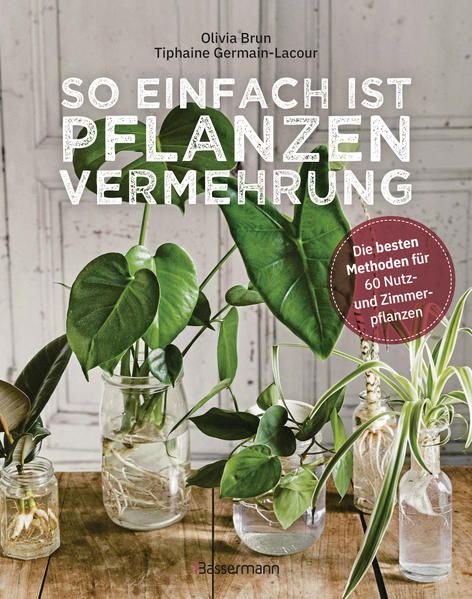 Produktbild: So einfach ist Pflanzenvermehrung. Die besten Methoden f&uuml;r 60 Nutz- und Zimmerpflanzen.