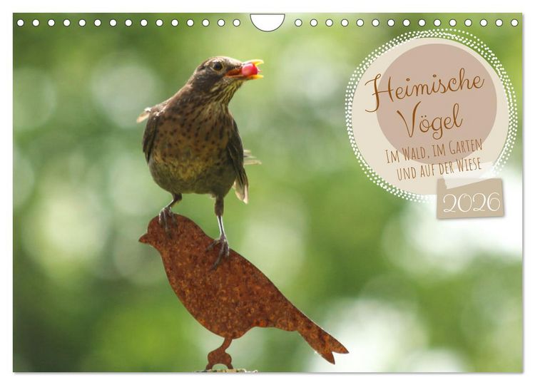 Produktbild: Heimische V&ouml;gel - Im Wald, im Garten und auf der Wiese (Wandkalender 2026 DIN A4 quer), CALVENDO Monatskalender