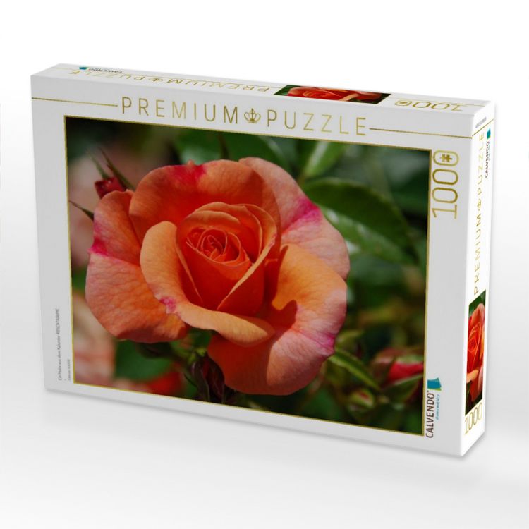 Produktbild: CALVENDO Puzzle Ein Motiv aus dem Kalender ROSENTR&Auml;UME | 1000 Teile Lege-Gr&ouml;&szlig;e 64x48cm Foto-Puzzle f&uuml;r gl&uuml;ckliche Stunden