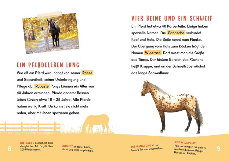 Produktbild: Dein Lesestart - Pferde und Ponys