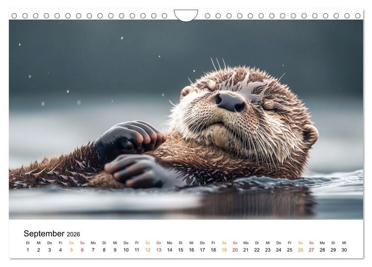 Produktbild: Wilde Heimat - Fischotter (Wandkalender 2026 DIN A4 quer), CALVENDO Monatskalender