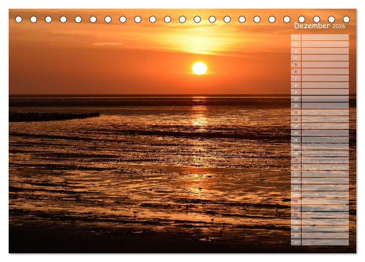 Produktbild: Ein Sommer auf Texel (Tischkalender 2026 DIN A5 quer), CALVENDO Monatskalender