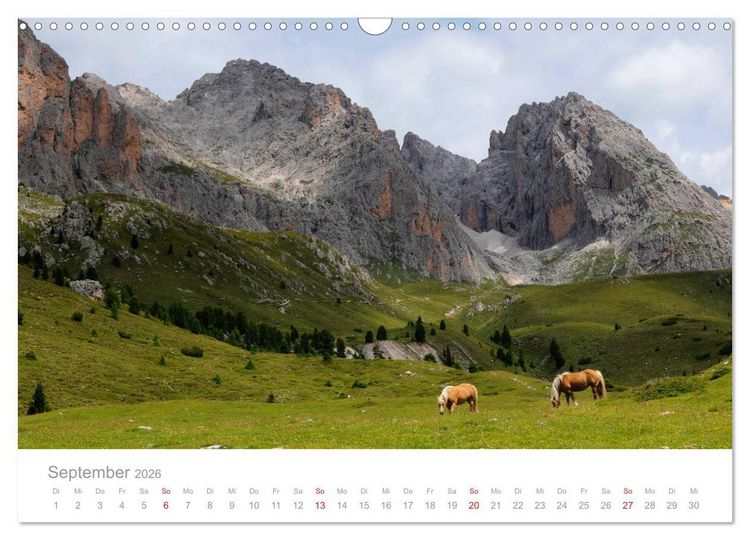 Produktbild: Pferde - In nat&uuml;rlicher Umgebung (Wandkalender 2026 DIN A3 quer), CALVENDO Monatskalender
