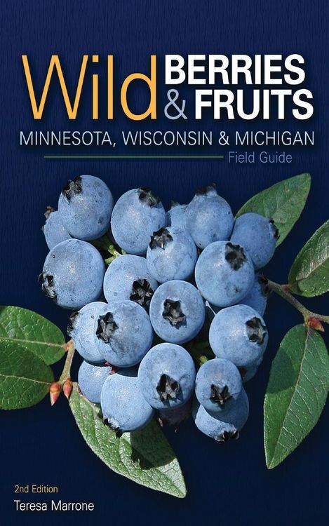 Produktbild: Wild Berries & Fruits Field Guide of Minnesota, Wisconsin & Michigan