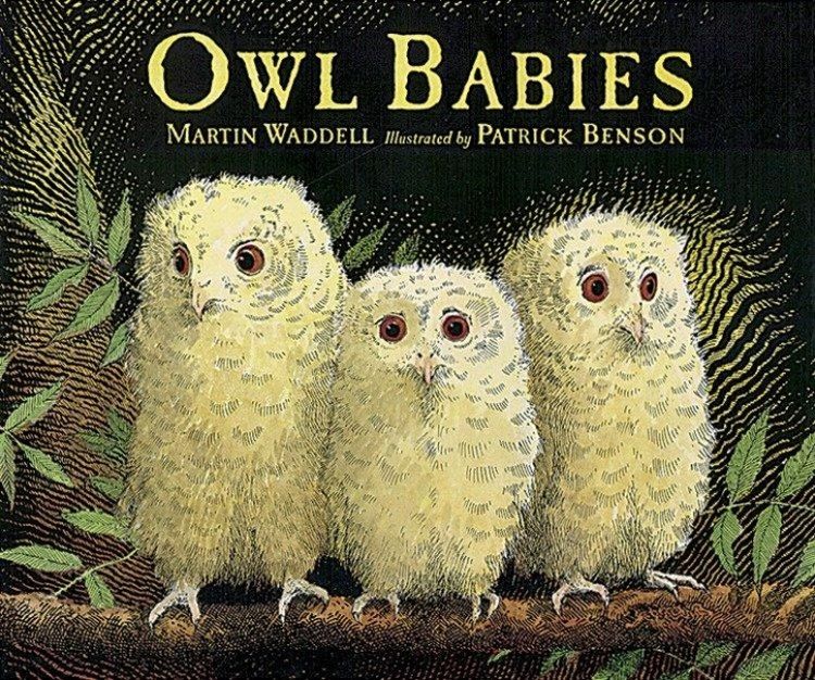 Produktbild: Owl Babies