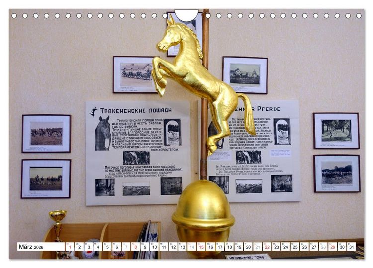 Produktbild: Mythos Trakehnen - Paradies ohne Pferde (Wandkalender 2026 DIN A4 quer), CALVENDO Monatskalender