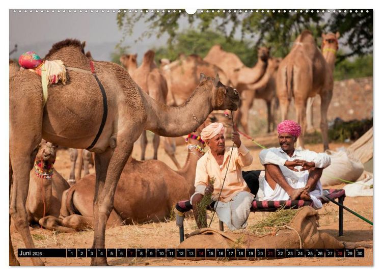 Produktbild: Rajasthan, Indien - Pushkar Mela (hochwertiger Premium Wandkalender 2026 DIN A2 quer), Kunstdruck in Hochglanz