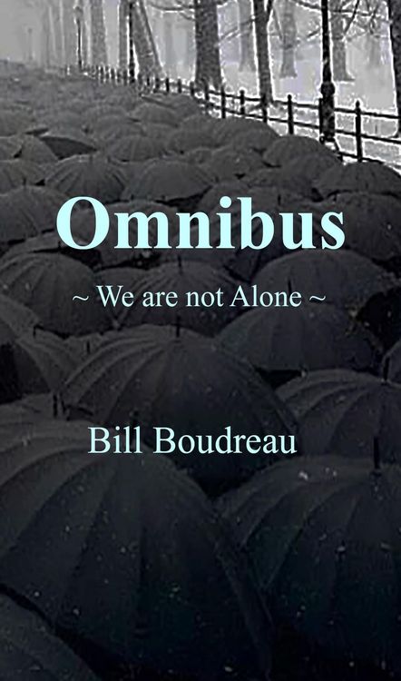 Produktbild: Omnibus