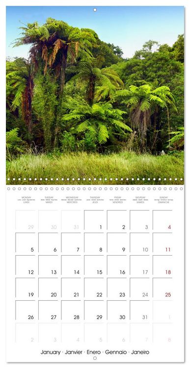 Produktbild: New Zealand Best places to travel (Wall Calendar 2026 12 &times; 12 Inch) CALVENDO 12 Month Wall Calendar
