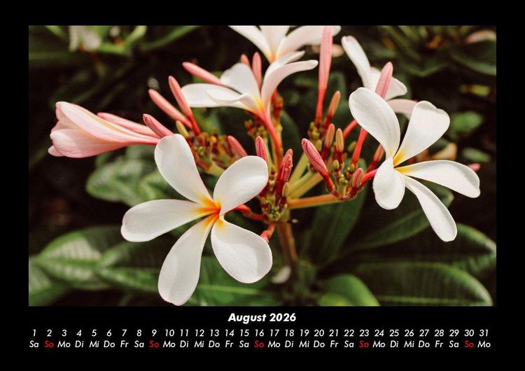 Produktbild: Natur 2026 Fotokalender DIN A3