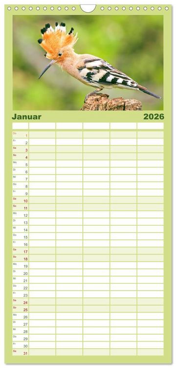 Produktbild: Familienplaner 2026 - Amsel, Fink und Star: Heimische V&ouml;gel mit 5 Spalten (Wandkalender, 21 x 45 cm) CALVENDO