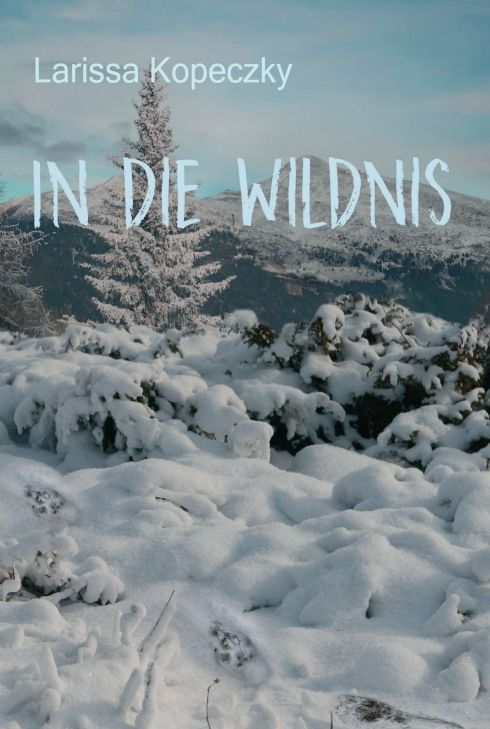 Produktbild: In die Wildnis