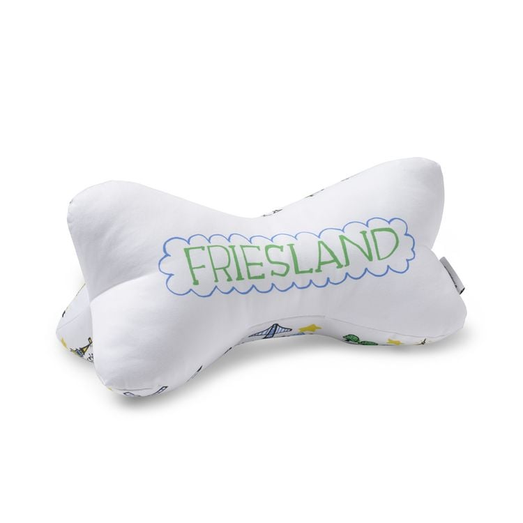 Produktbild: Leseknochen Friesland