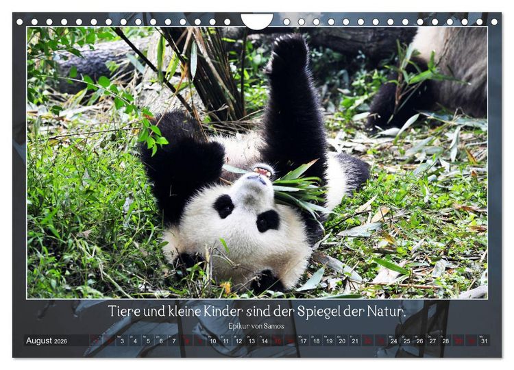 Produktbild: Facettenreiches Tibet (Wandkalender 2026 DIN A4 quer), CALVENDO Monatskalender