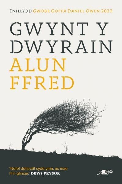 Produktbild: Gwynt y Dwyrain