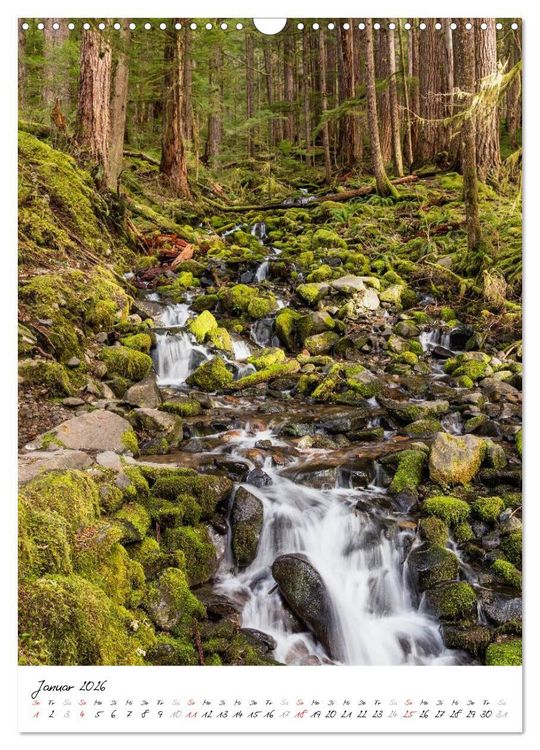 Produktbild: Weltnaturerbe Olympic National Park (Wandkalender 2026 DIN A3 hoch), CALVENDO Monatskalender