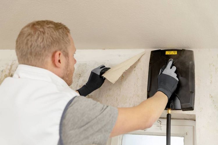 Produktbild: Wagner SteamForce Speed Pro Dampf-Tapetenabl&ouml;ser 2750W