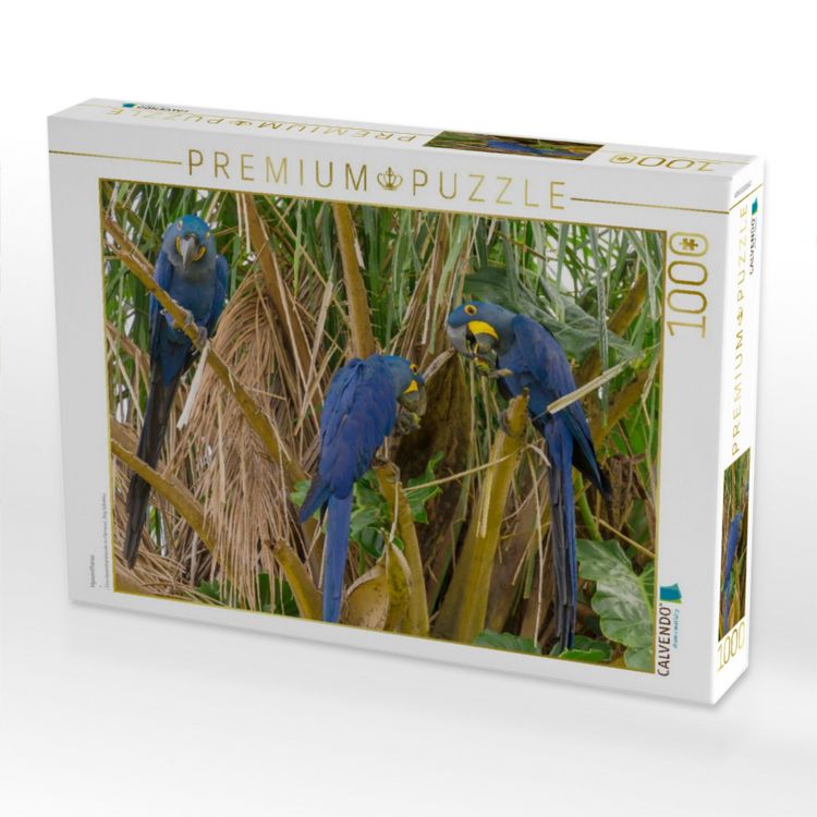 Produktbild: CALVENDO Puzzle Hyazintharas | 1000 Teile Lege-Gr&ouml;&szlig;e 64x48cm Foto-Puzzle f&uuml;r gl&uuml;ckliche Stunden