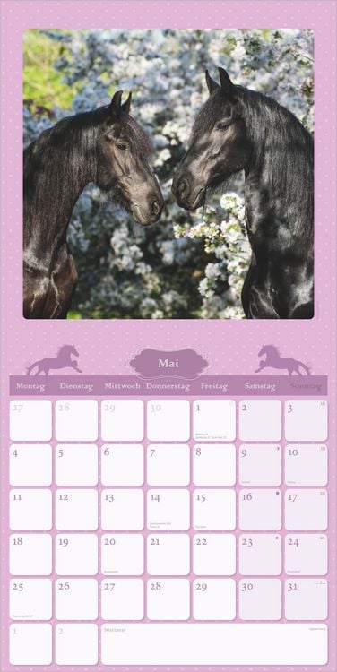 Produktbild: Mein Pferdekalender 2027