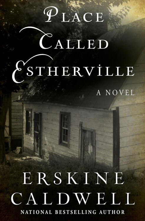 Produktbild: Place Called Estherville