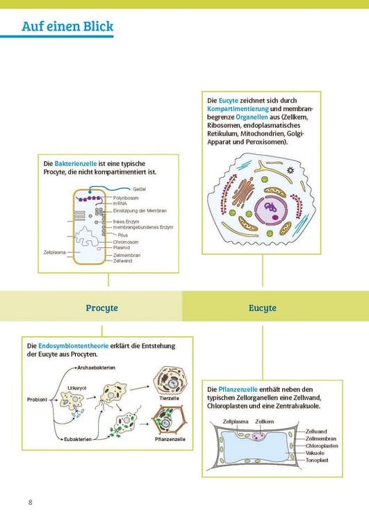 Produktbild: Klett Sicher im Abi Biologie