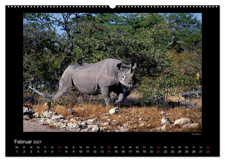 Produktbild: Wildtiere im Etosha Nationalpark (Wandkalender 2027 DIN A2 quer), CALVENDO Monatskalender