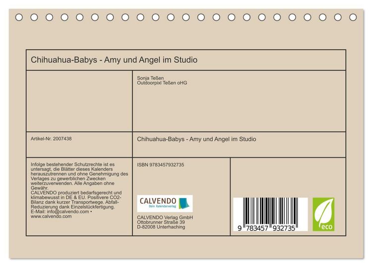 Produktbild: Chihuahua-Babys - Amy und Angel im Studio (Tischkalender 2026 DIN A5 quer), CALVENDO Monatskalender