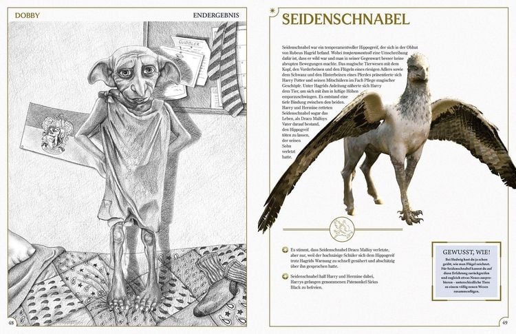 Produktbild: Aus den Filmen zu Harry Potter: Zeichenschule - Zeichne die Zauberwelt Schritt f&uuml;r Schritt