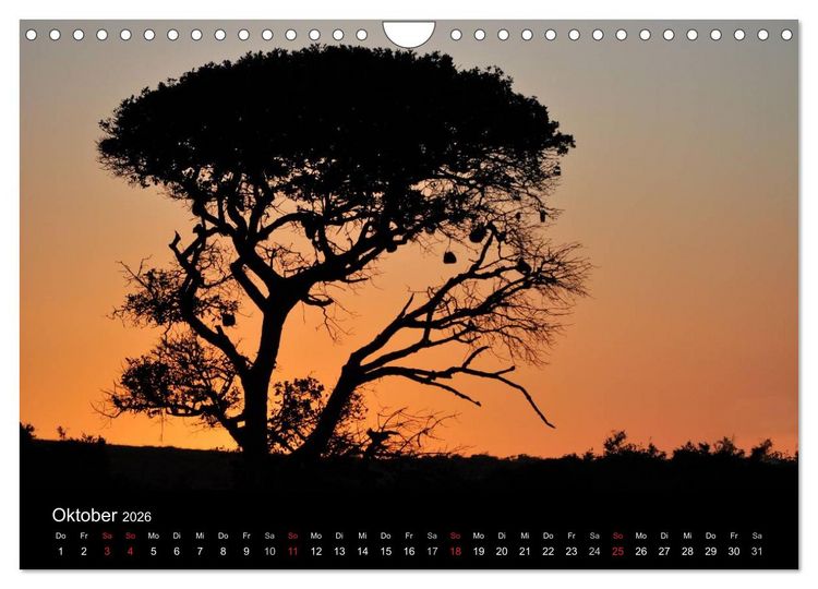 Produktbild: Momente in S&uuml;dafrika (Wandkalender 2026 DIN A4 quer), CALVENDO Monatskalender