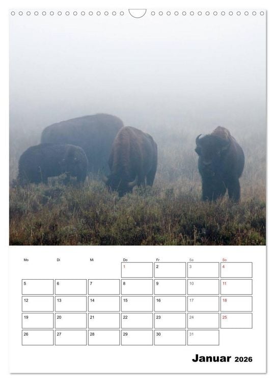 Produktbild: Yellowstone und Grand Tetons Nationalparks (Wandkalender 2026 DIN A3 hoch), CALVENDO Monatskalender